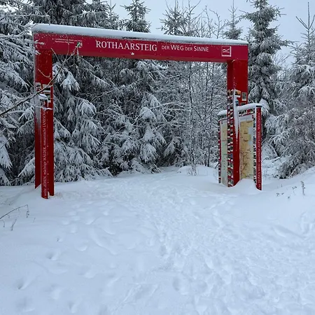 Timos * Шмалленберг