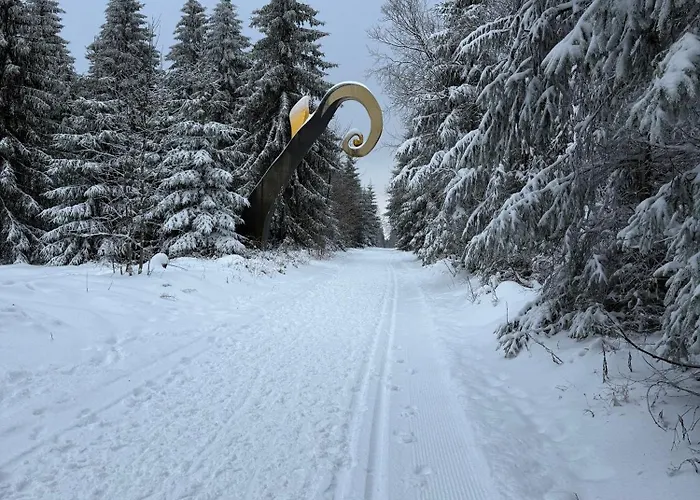 Timos * Schmallenberg