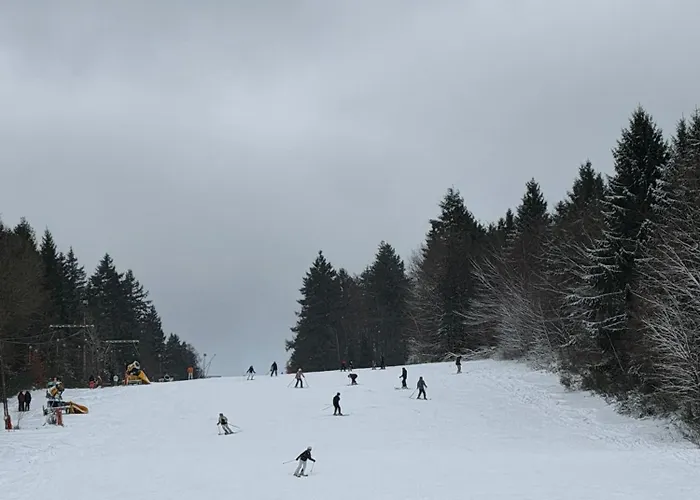 Timos Appartement Schmallenberg